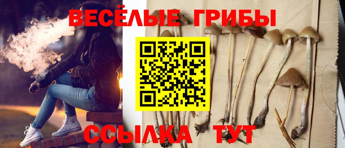 Псилоцибиновые грибы прущие грибы Славгород